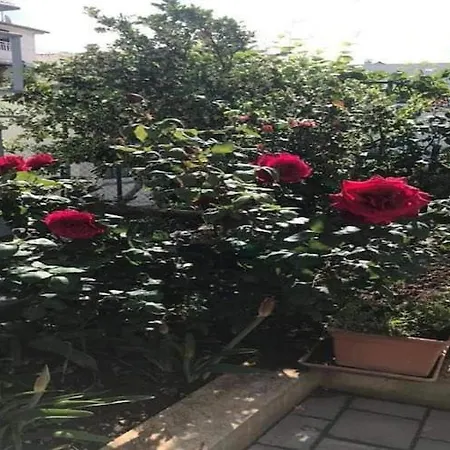 Tanja - Two Bedroom With Terrace Apartman Vodice