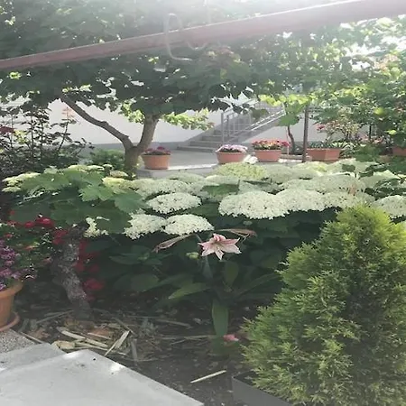 Tanja - Two Bedroom With Terrace Apartman