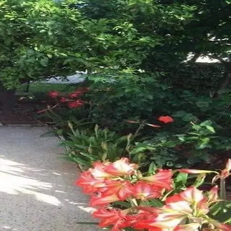 Tanja - Two Bedroom With Terrace Apartman Vodice