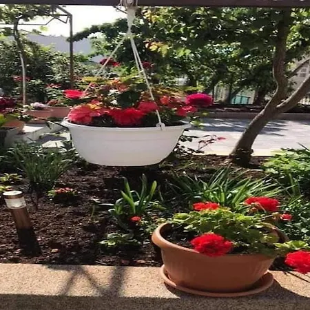 Tanja - Two Bedroom With Terrace *