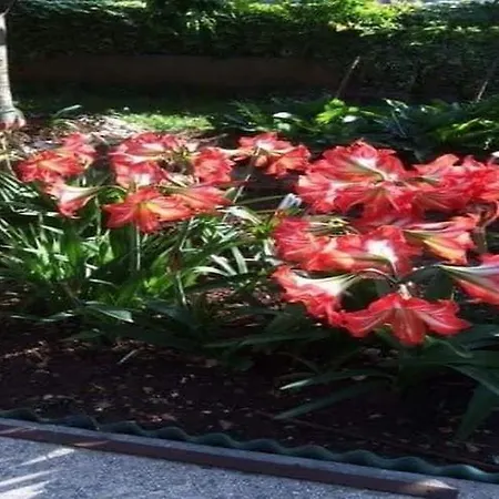 Apartman Tanja - Two Bedroom With Terrace