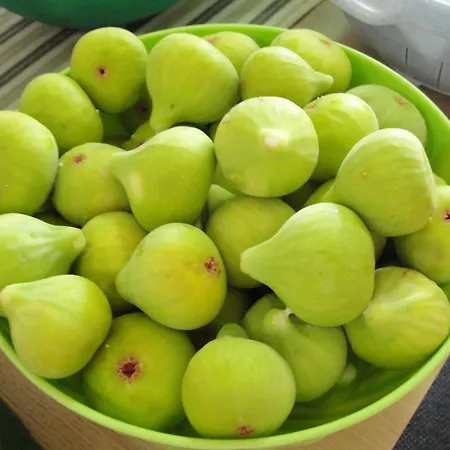 Tanja - Two Bedroom With Terrace Vodice