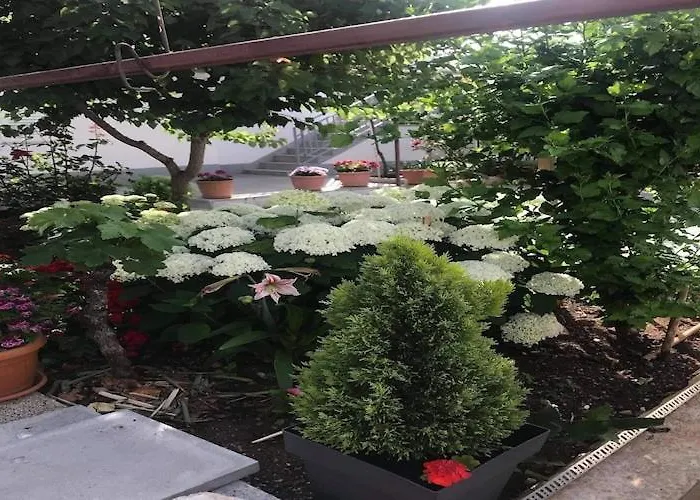 Tanja - Two Bedroom With Terrace