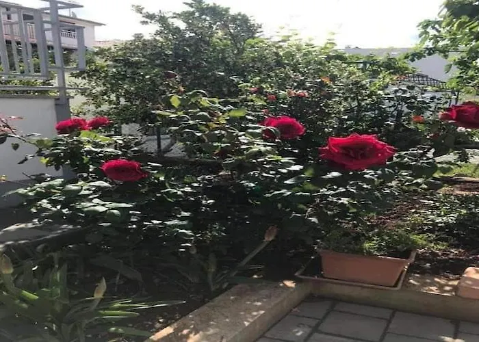 Tanja - Two Bedroom With Terrace Apartman Vodice