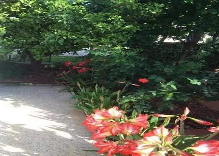 Tanja - Two Bedroom With Terrace Apartamento Vodice