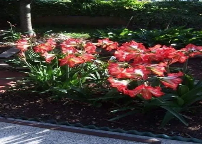 Apartamento Tanja - Two Bedroom With Terrace