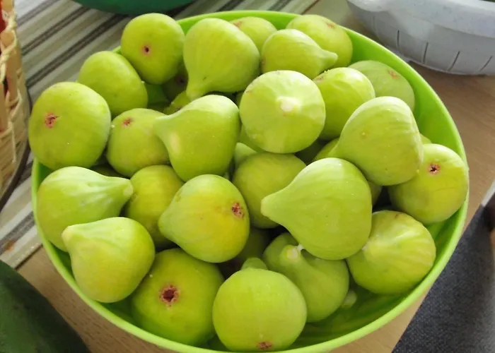 Tanja - Two Bedroom With Terrace Vodice